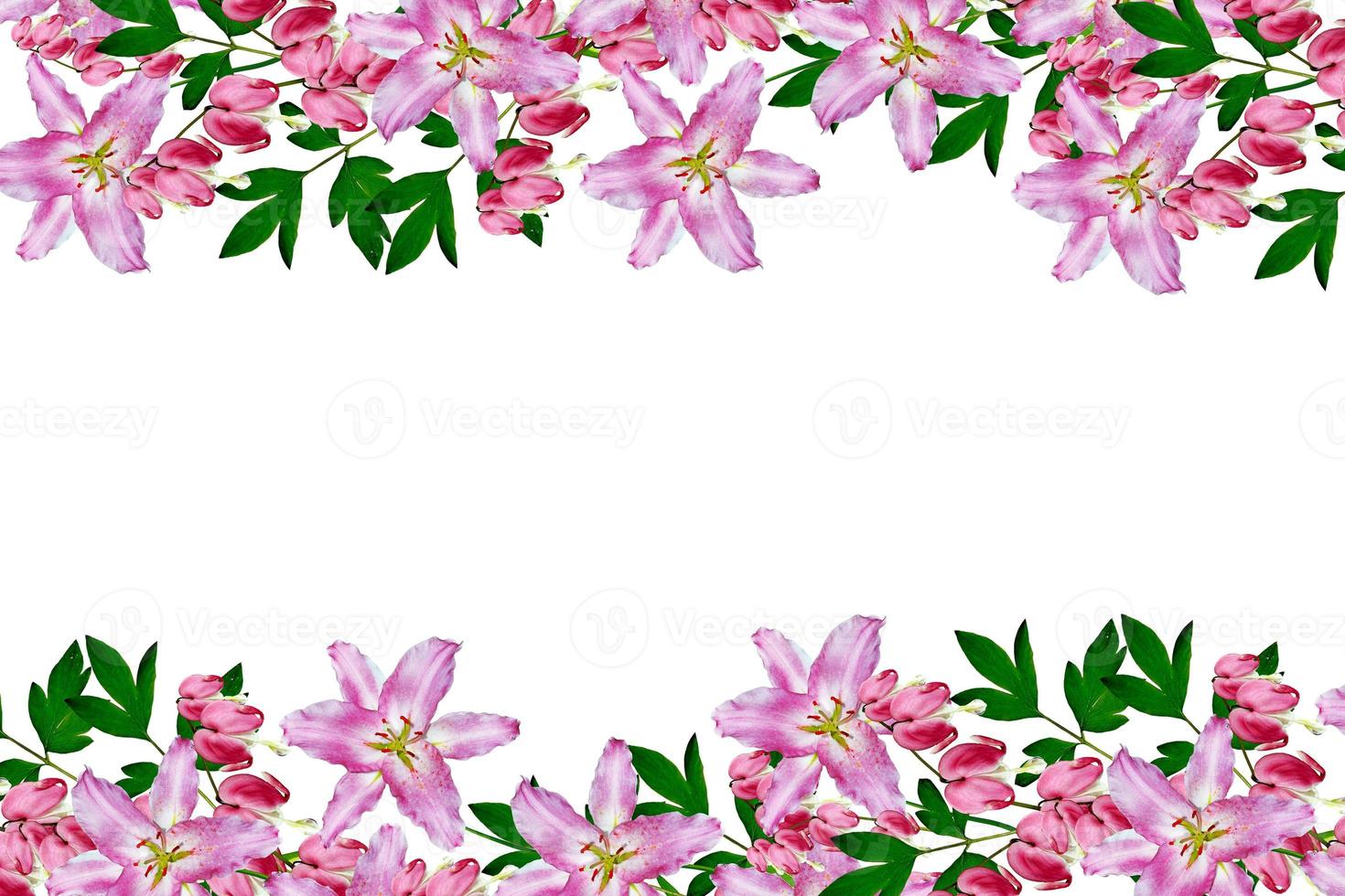 Bright colorful flowers. Nature. photo