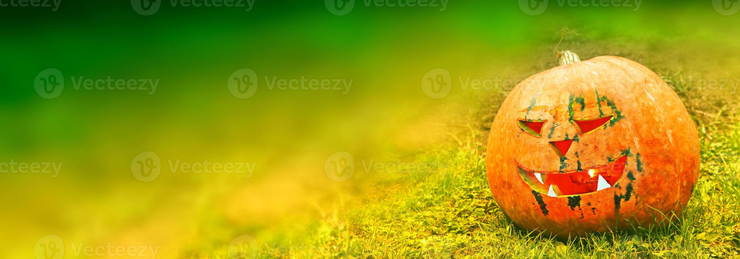 Autumn background of the fruits of a bright orange pumpkin. photo