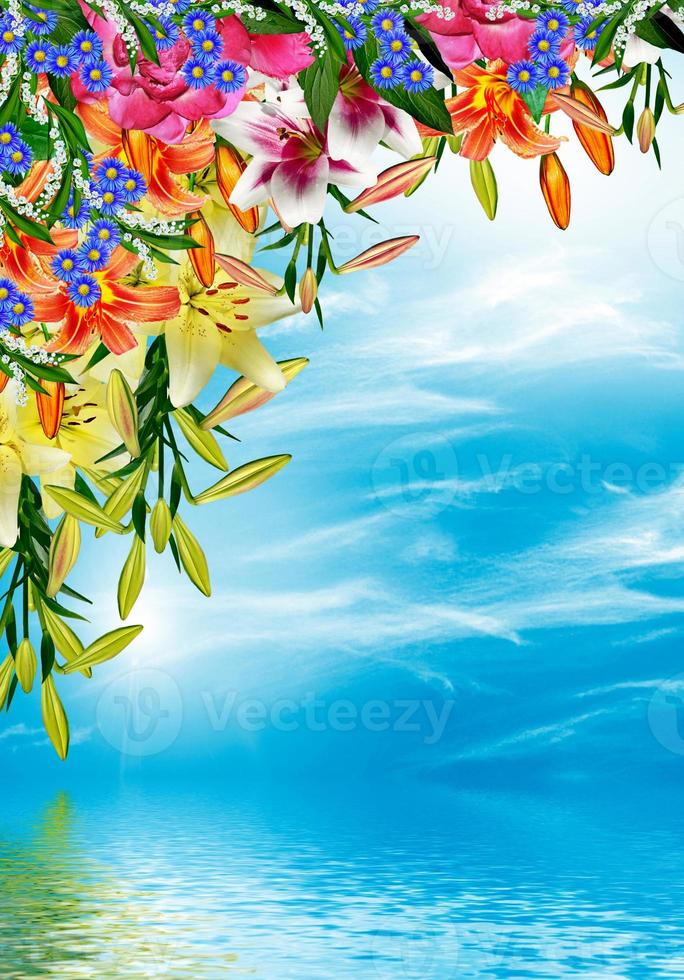 lily flowers on a background of blue sky with clouds photo