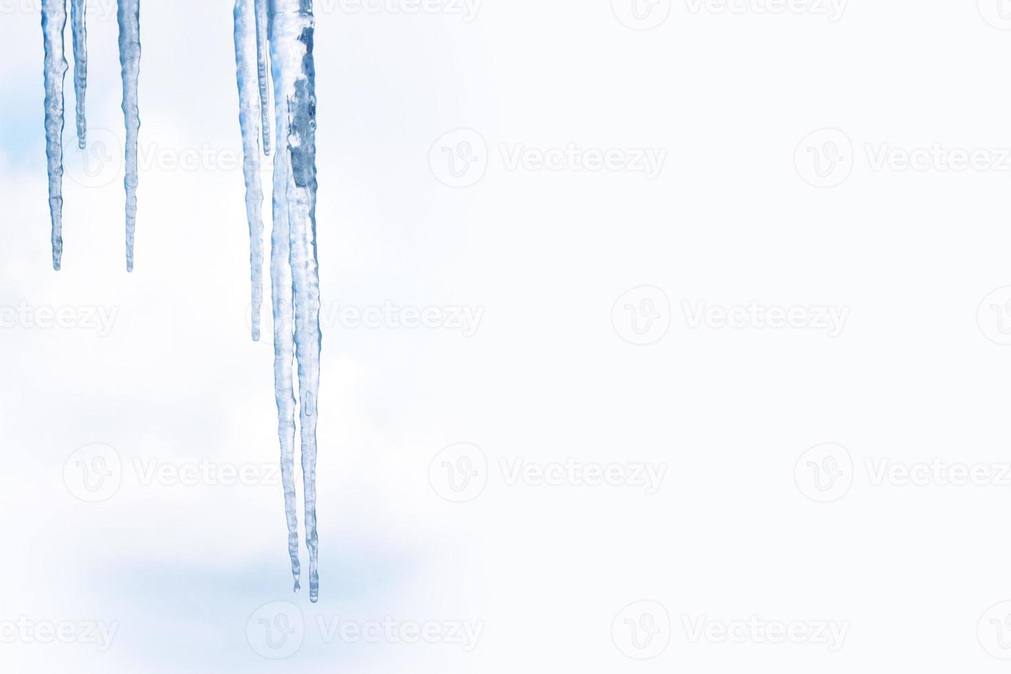 White icicles against the blue winter sky. photo