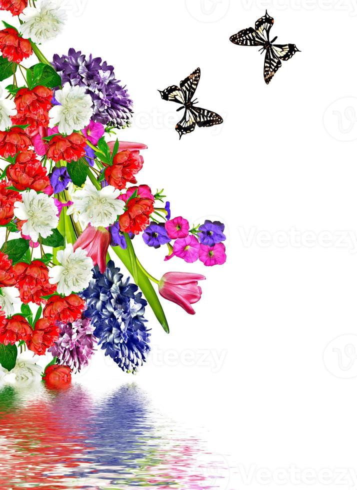 spring flowers tulips isolated on white background.snowdrops flowers and butterflies photo