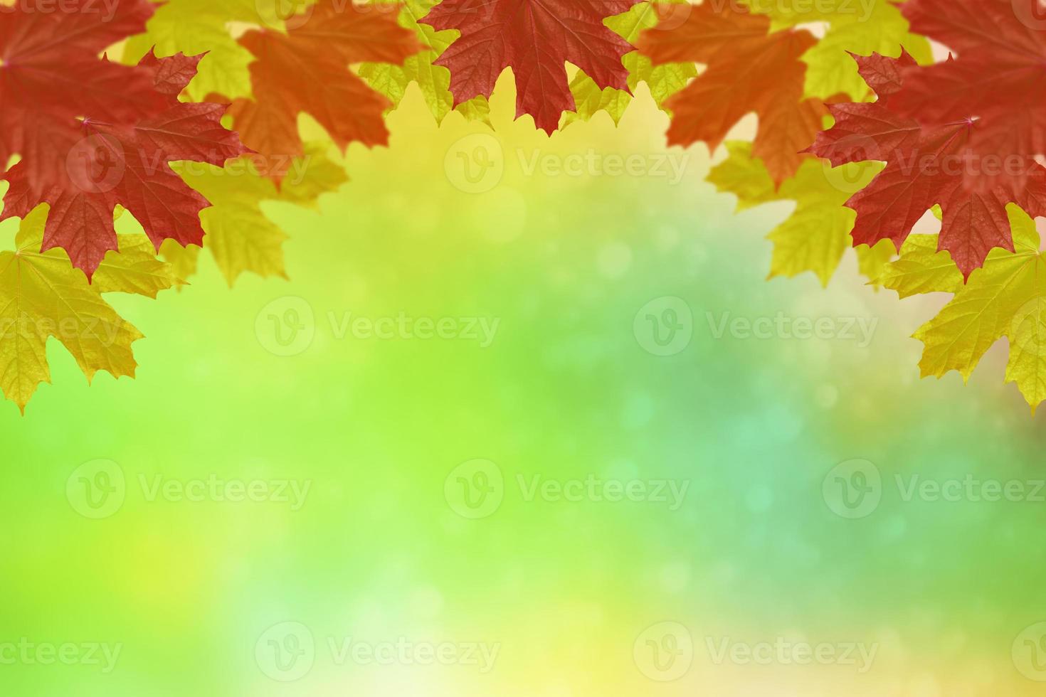 autumn landscape with bright colorful foliage. Indian summer. photo