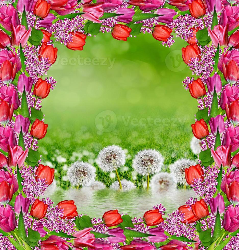 Floral background. Bright and colorful flowers. photo