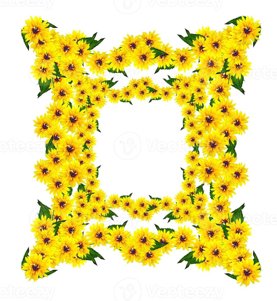 Yellow rudbeckia flower on a white background photo