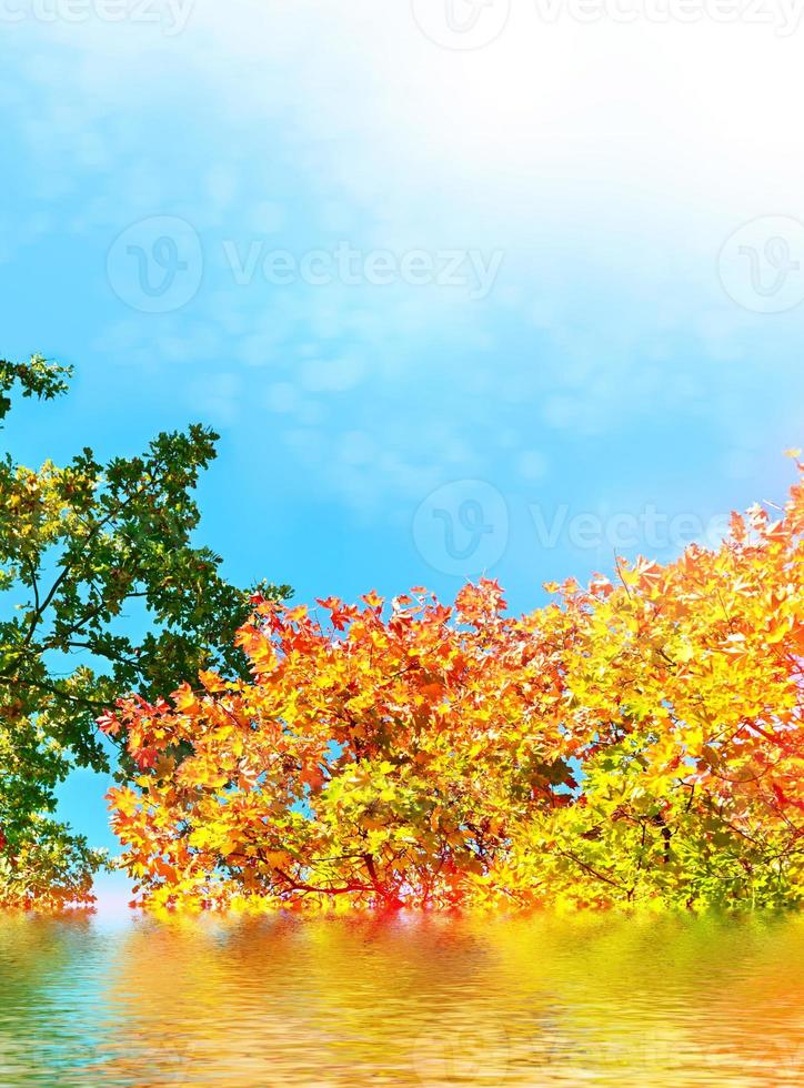 autumn landscape with colorful bright trees. Indian summer photo