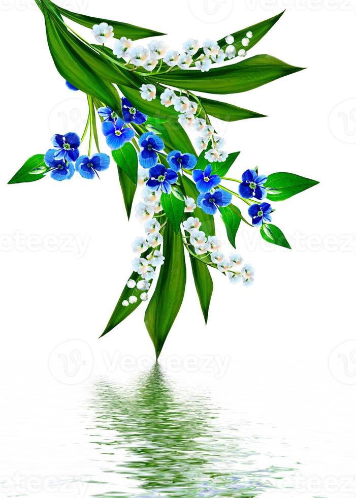 isolated on white background 9961925 Stock Photo at