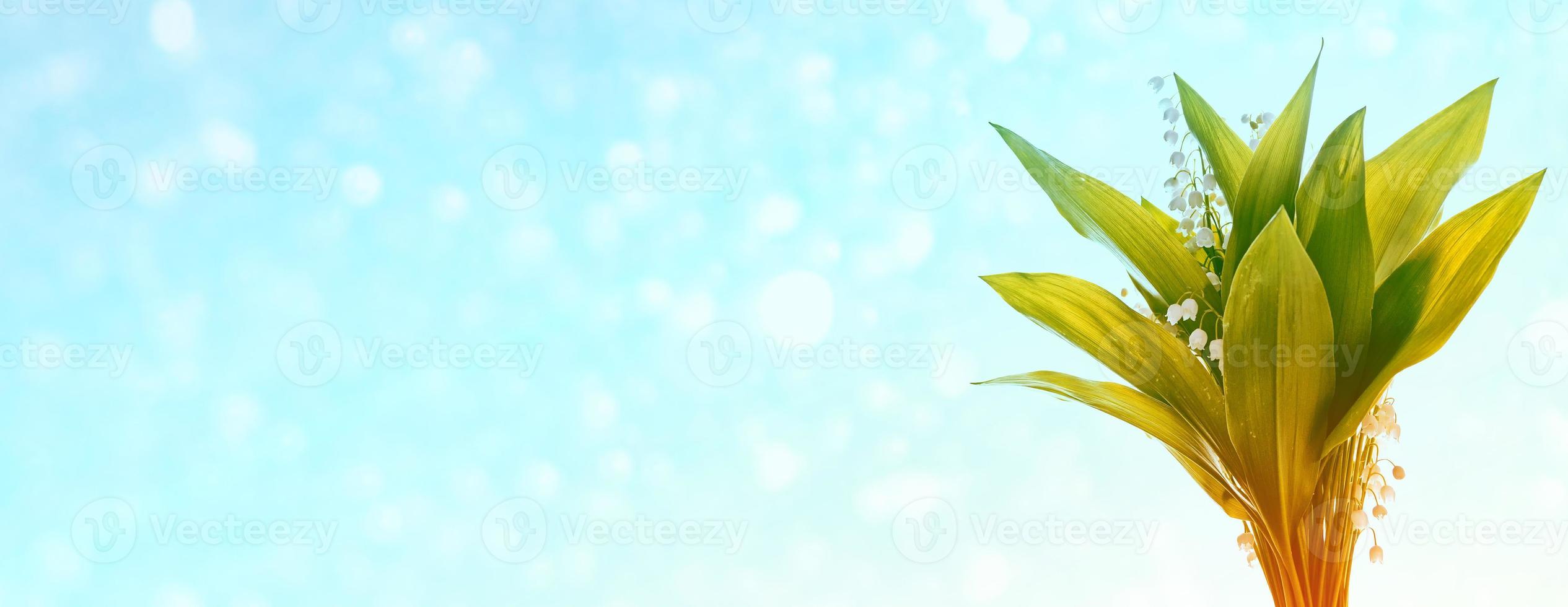 Spring landscape. flowers lily of the valley photo