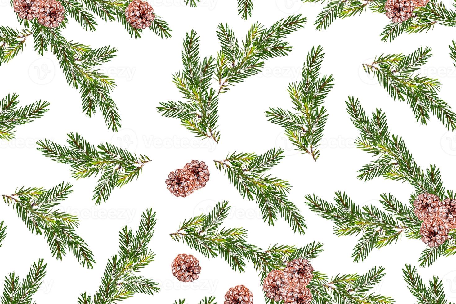 The branches of the snow covered tree Christmas tree photo