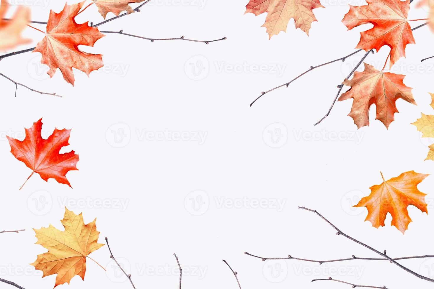 Autumn background with bright colorful leaves. photo