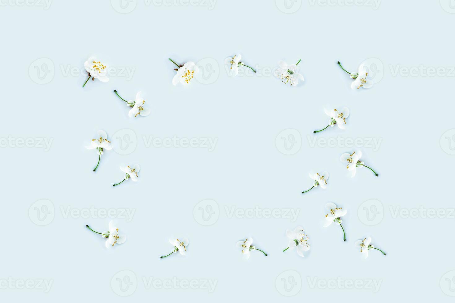 Spring background of flowers blooming cherry. photo