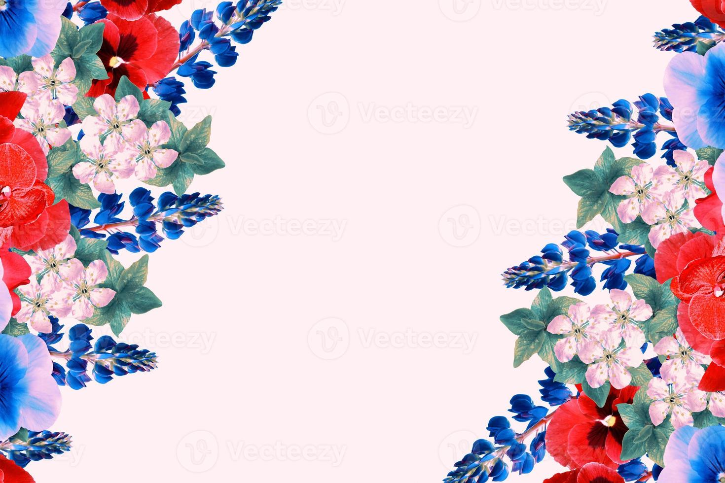 Natural floral background of vibrant flowers. isolated on white background.  summer wildflower bud. Violet wild flower. photo