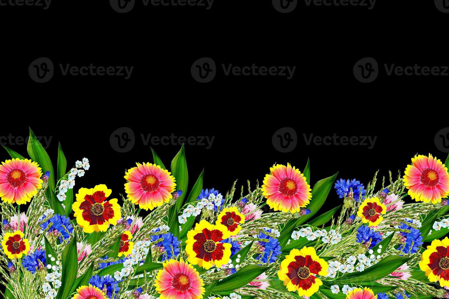Bouquet of colorful flowers of Gaillardia. delicate flowers isolated on black background photo