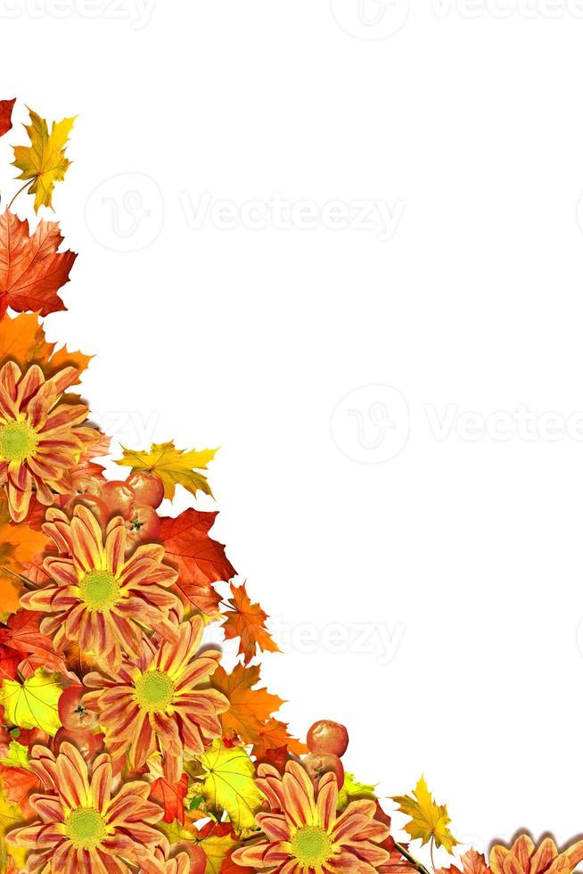 abstract background of autumn leaves photo