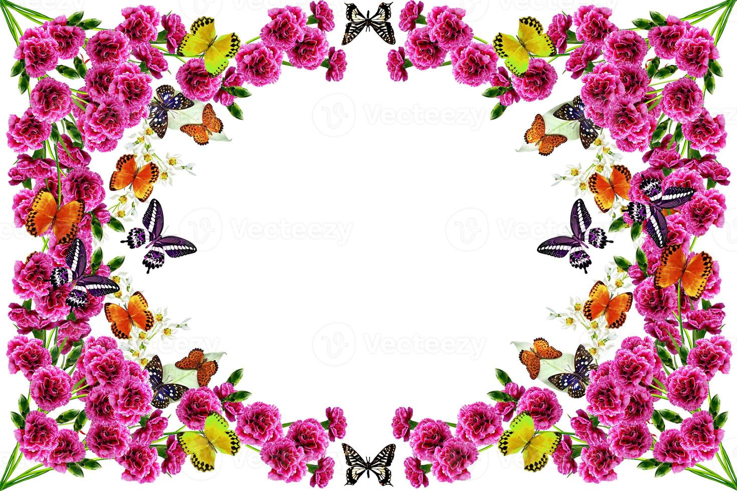 flowers and butterflies on a white background. frame photo