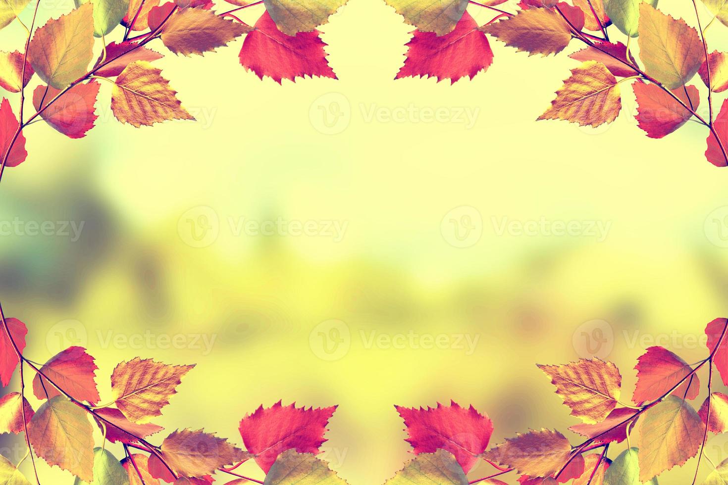 paisaje de otoño hermosas hojas arboles de colores foto