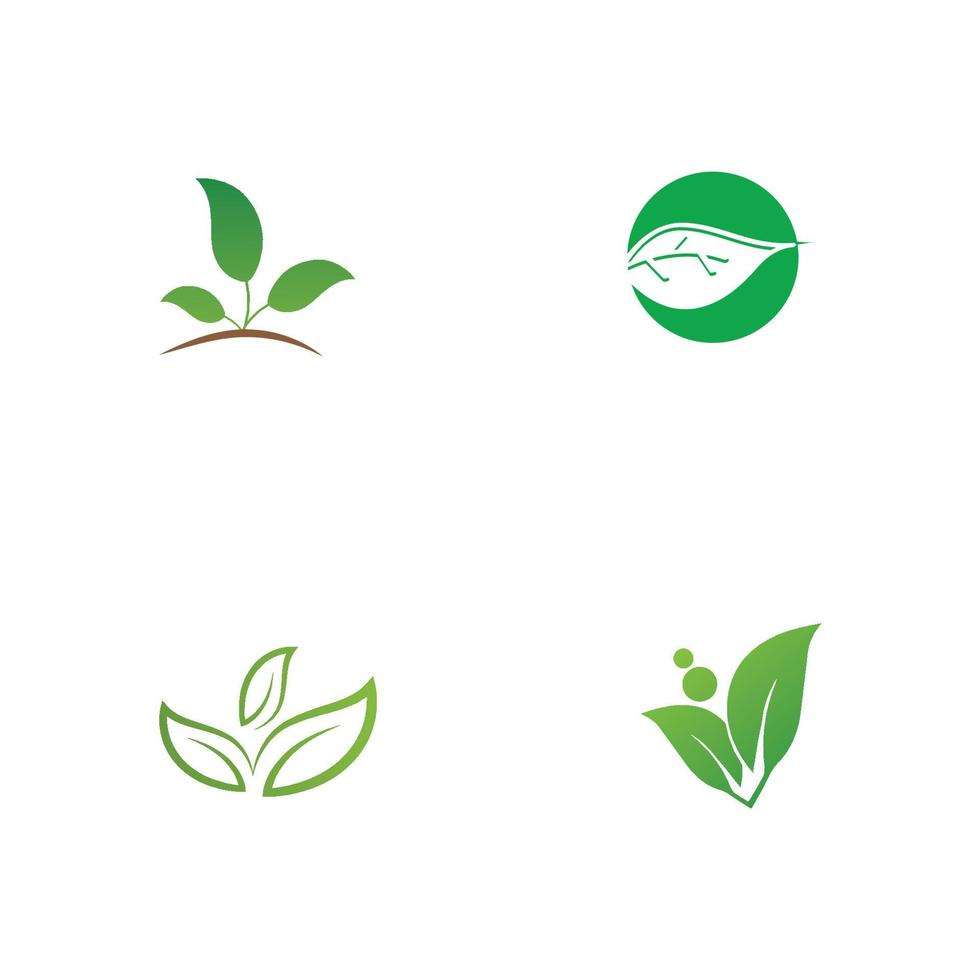 logotipo de hojas verdes.los iconos de hoja verde establecen plantilla vectorial vector