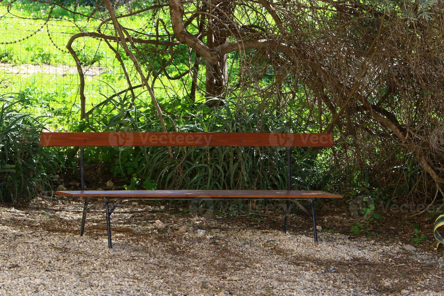 Bench for rest in the city park on the seashore. photo