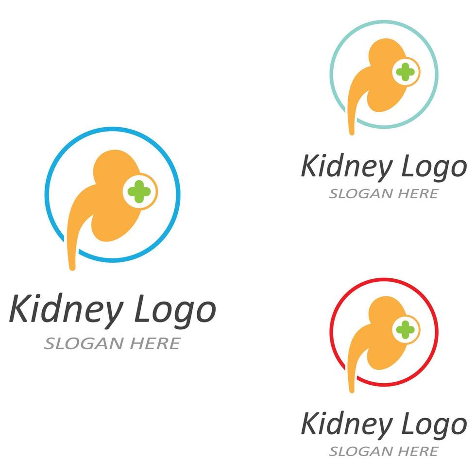 Kidney logo vector illusrtation