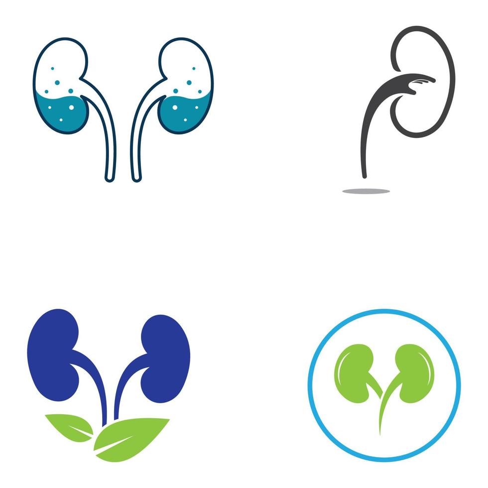 kidney health  logo  vector illusrtation