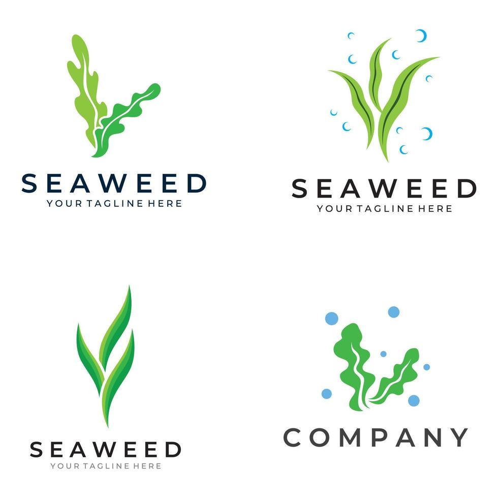 Seaweed logo with template illustration vector design.