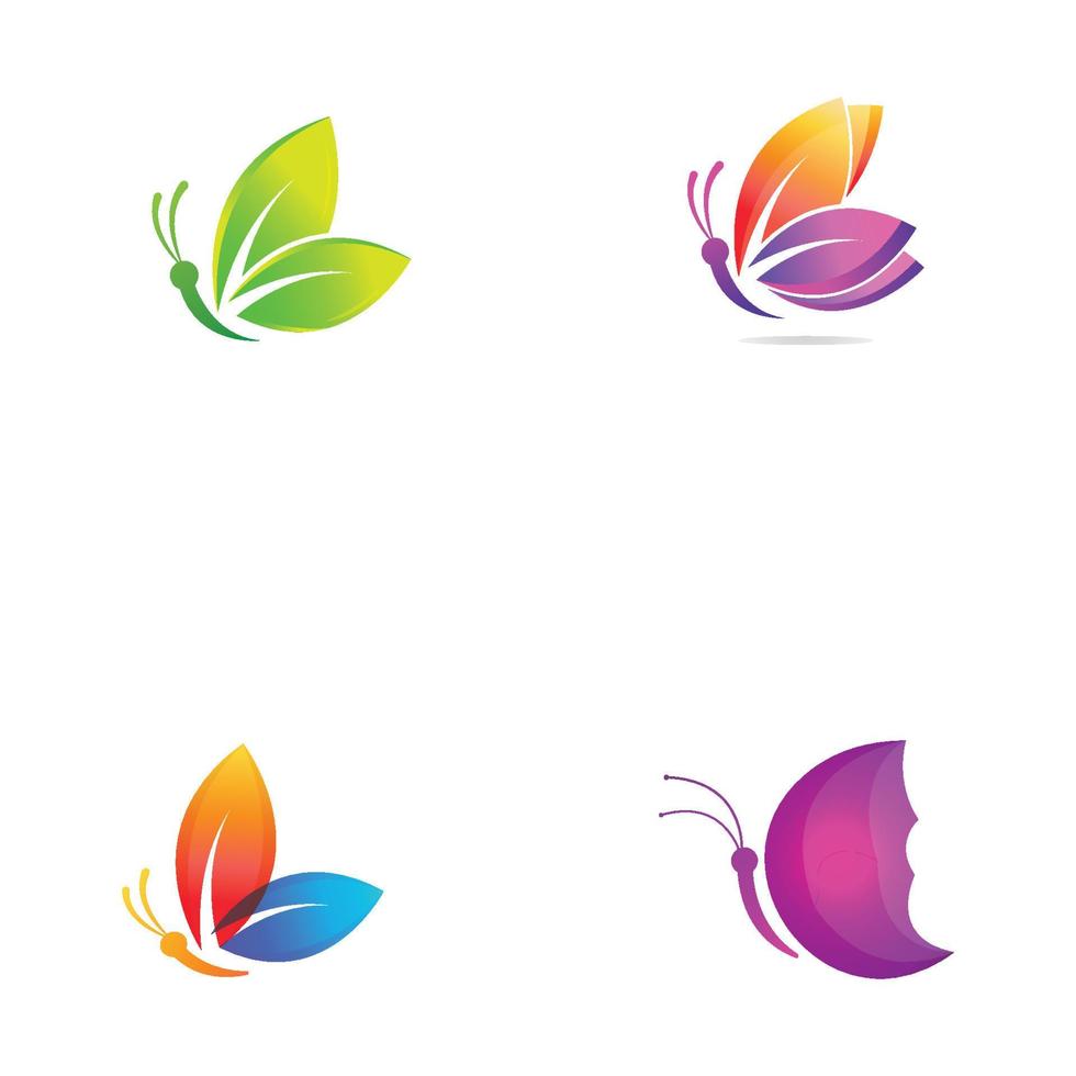 Beautiful colorful butterfly animal logo with vector illustration.