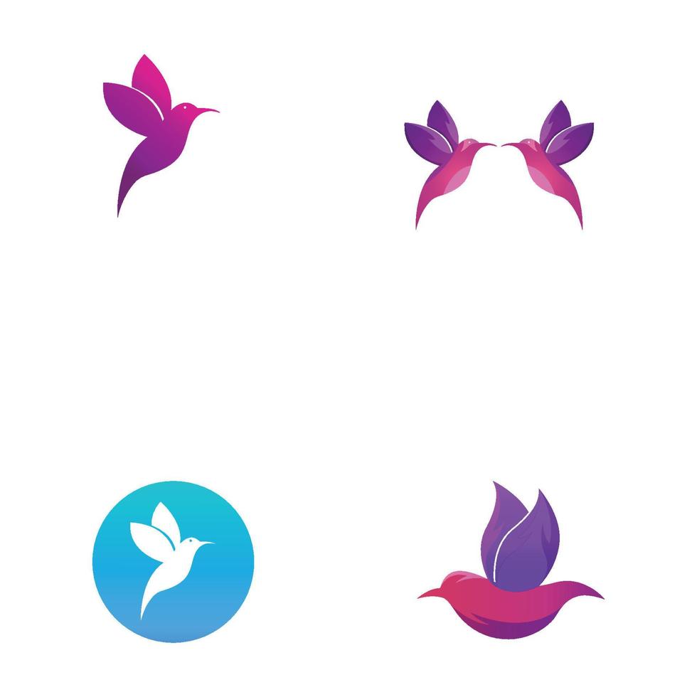 Beautiful colorful bird animal logo with vector illustration.