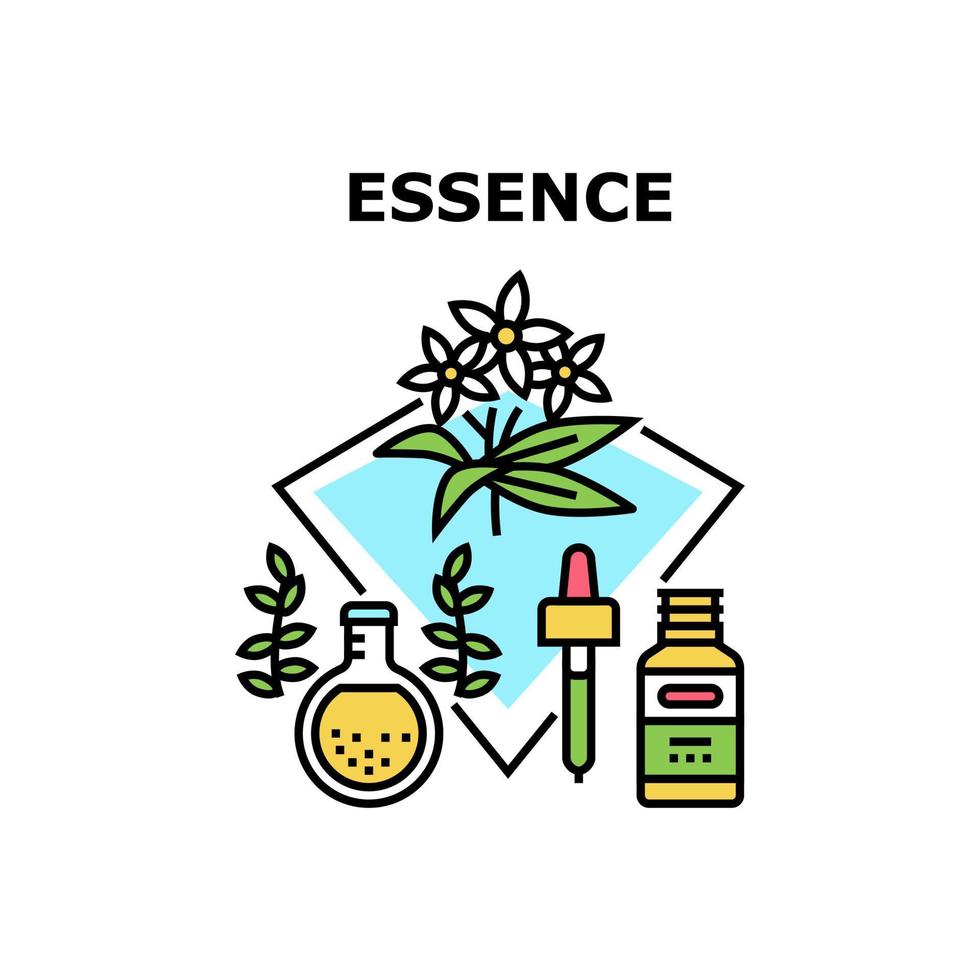 Essence Cosmetic Vector Concept Color Illustration