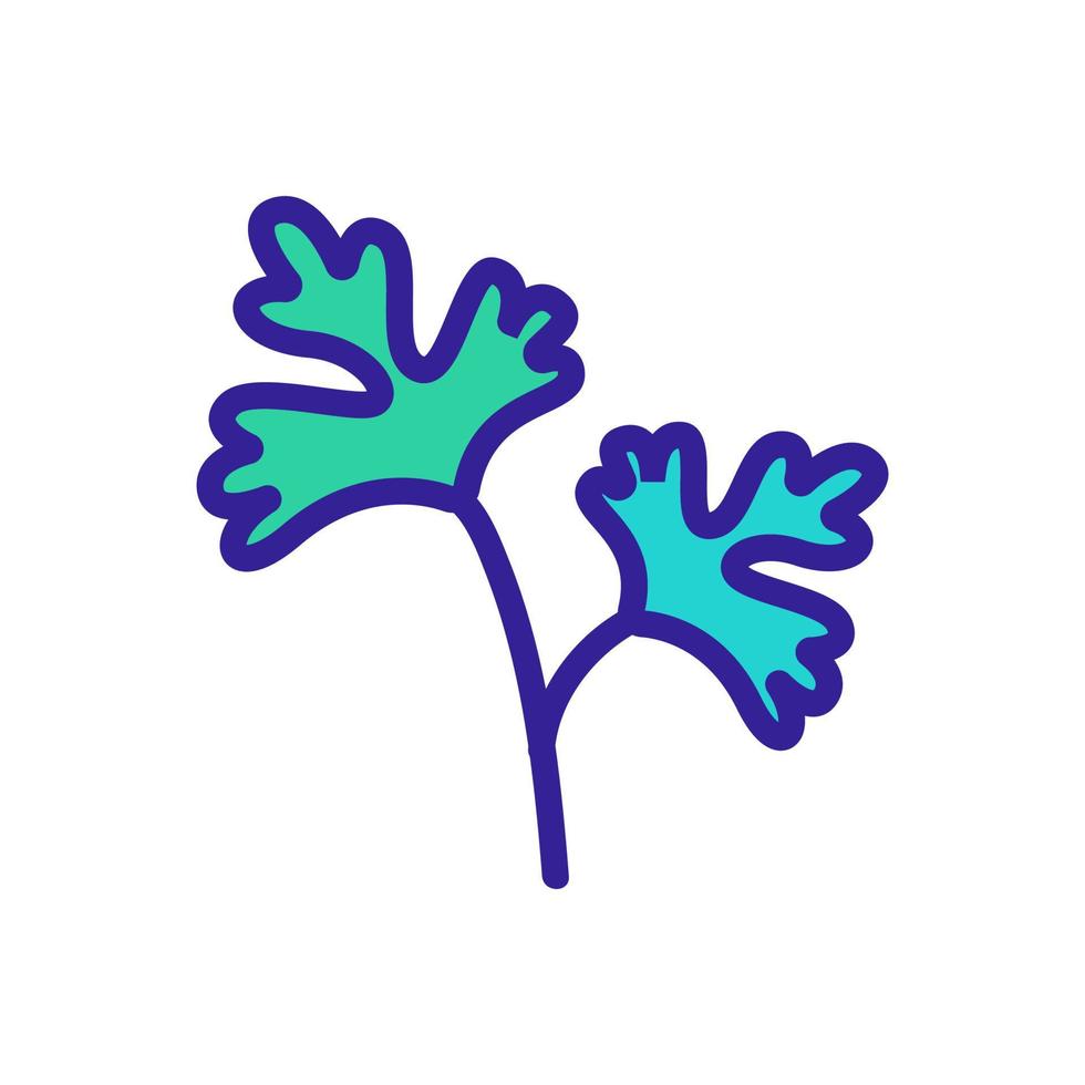 leaves of herbal coriander icon vector outline illustration