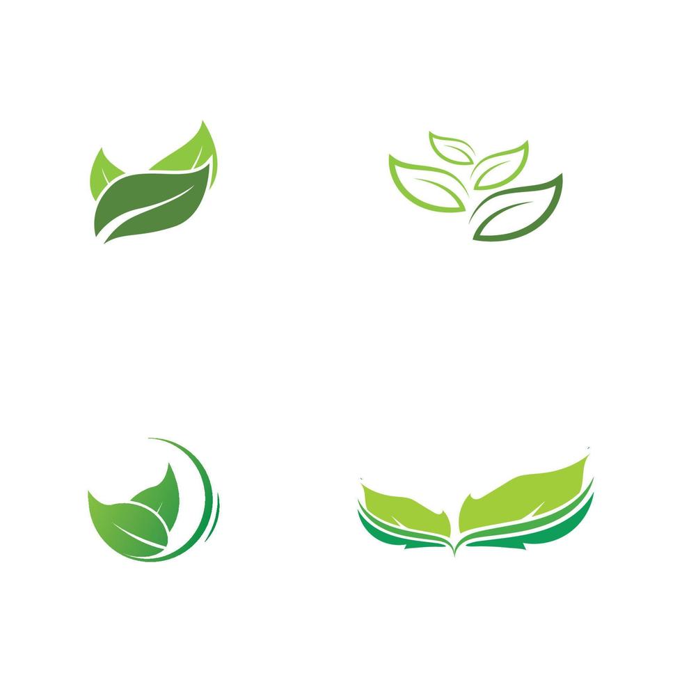 Green leaves logo.green leaf icons set vector template