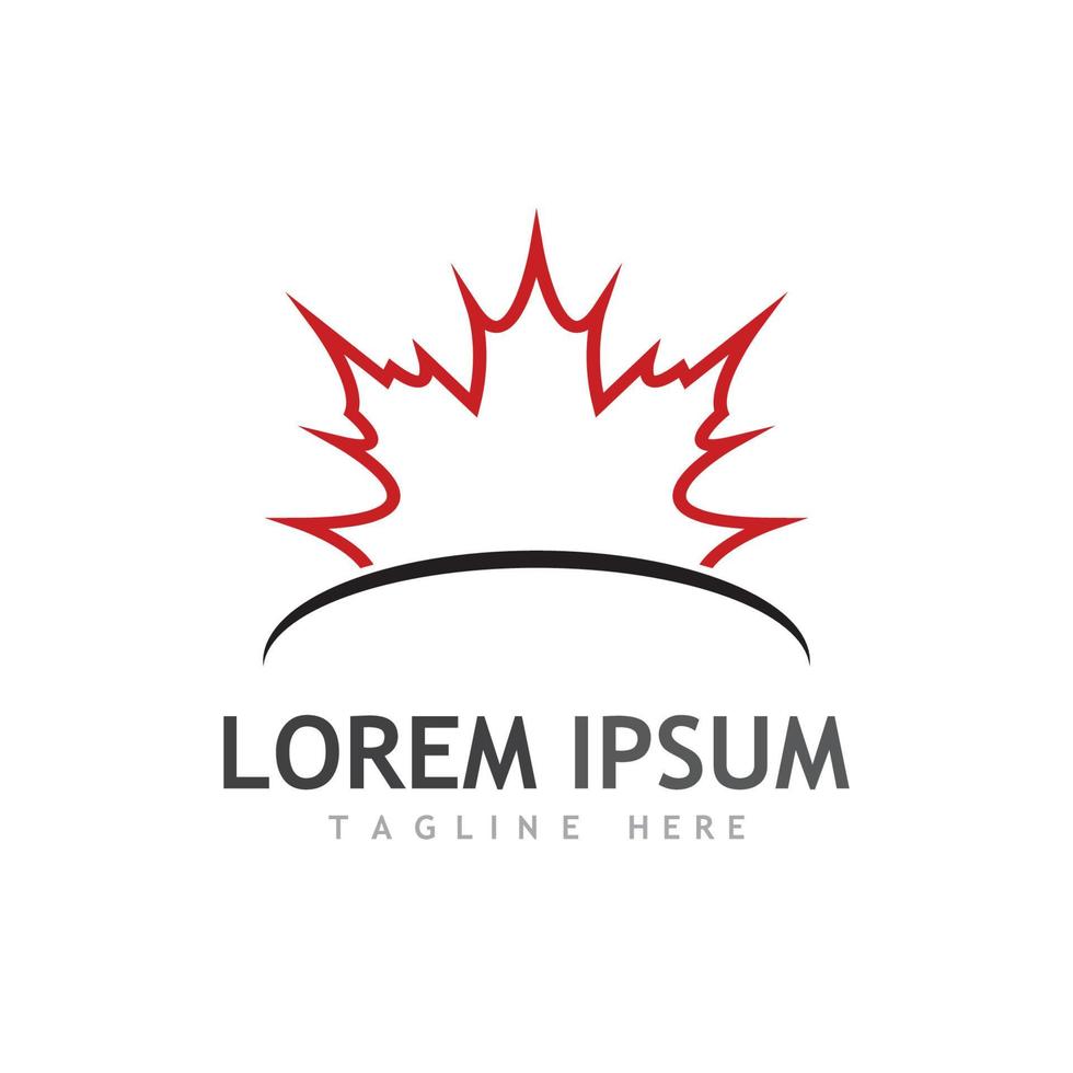 Maple leaf vector illustration design template