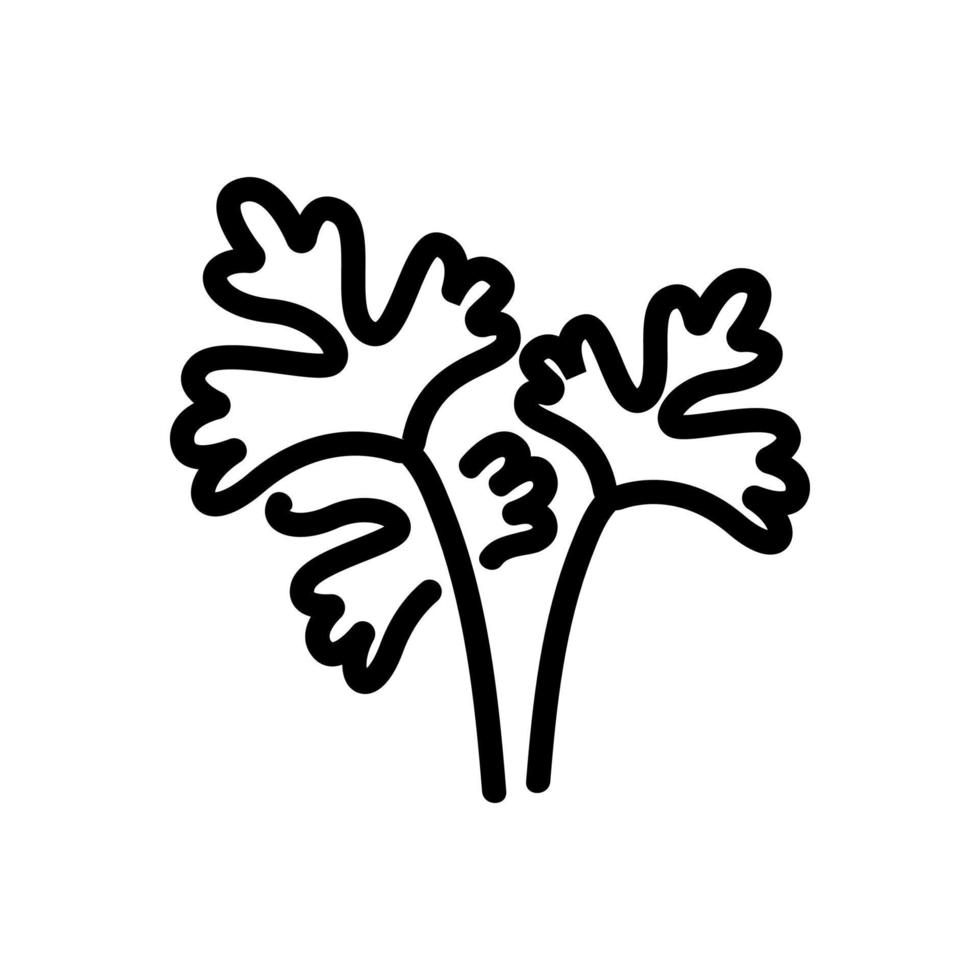 coriander seedling leaves icon vector outline illustration