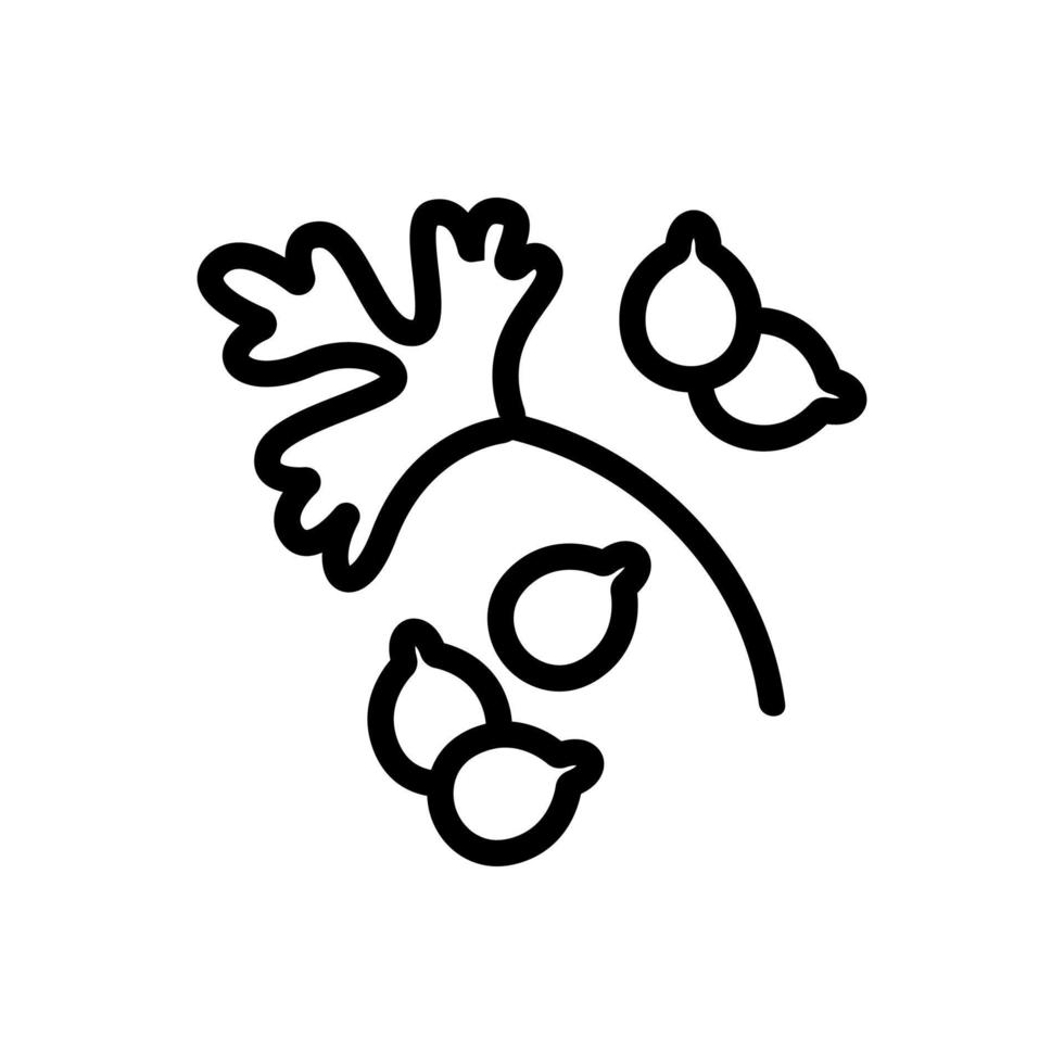coriander leaf and sowing seeds icon vector outline illustration