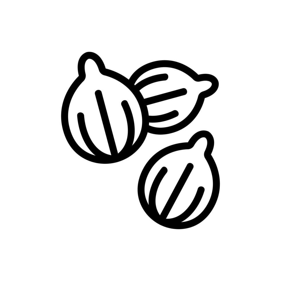 three coriander seed large view icon vector outline illustration