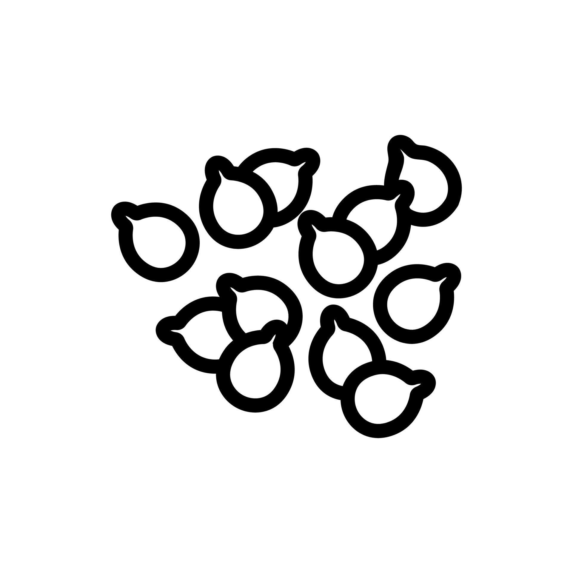 coriander seeds icon vector outline illustration 9965178 Vector Art at