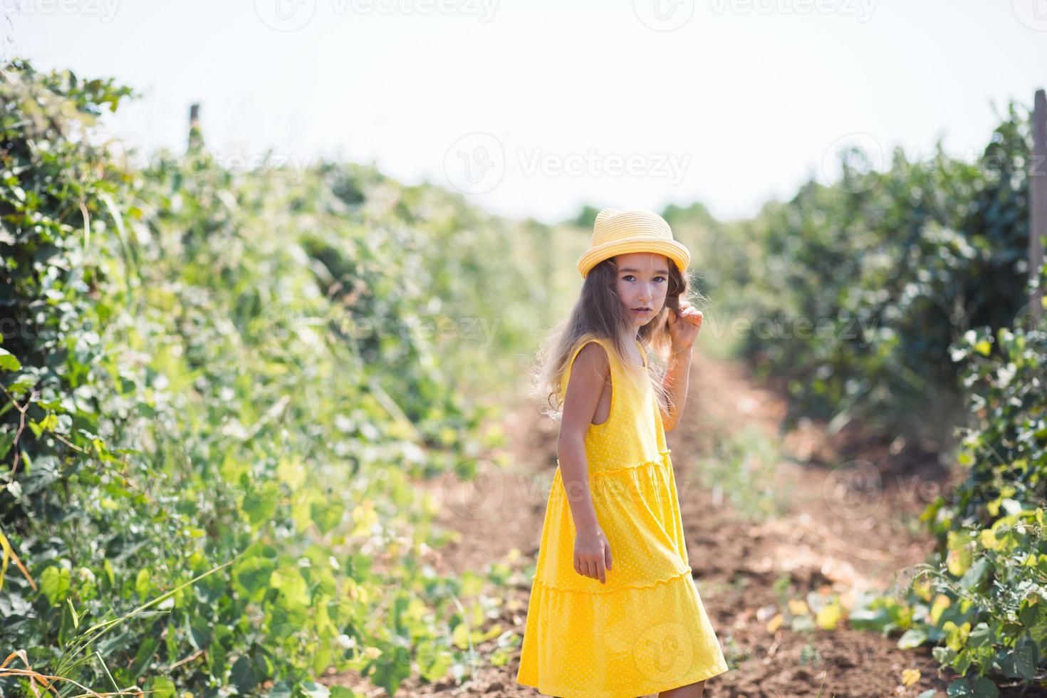A tourist girl walks in a vineyard. Guided tour of the grape plantation. photo