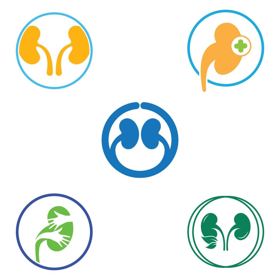 Kidney logo vector illusrtation