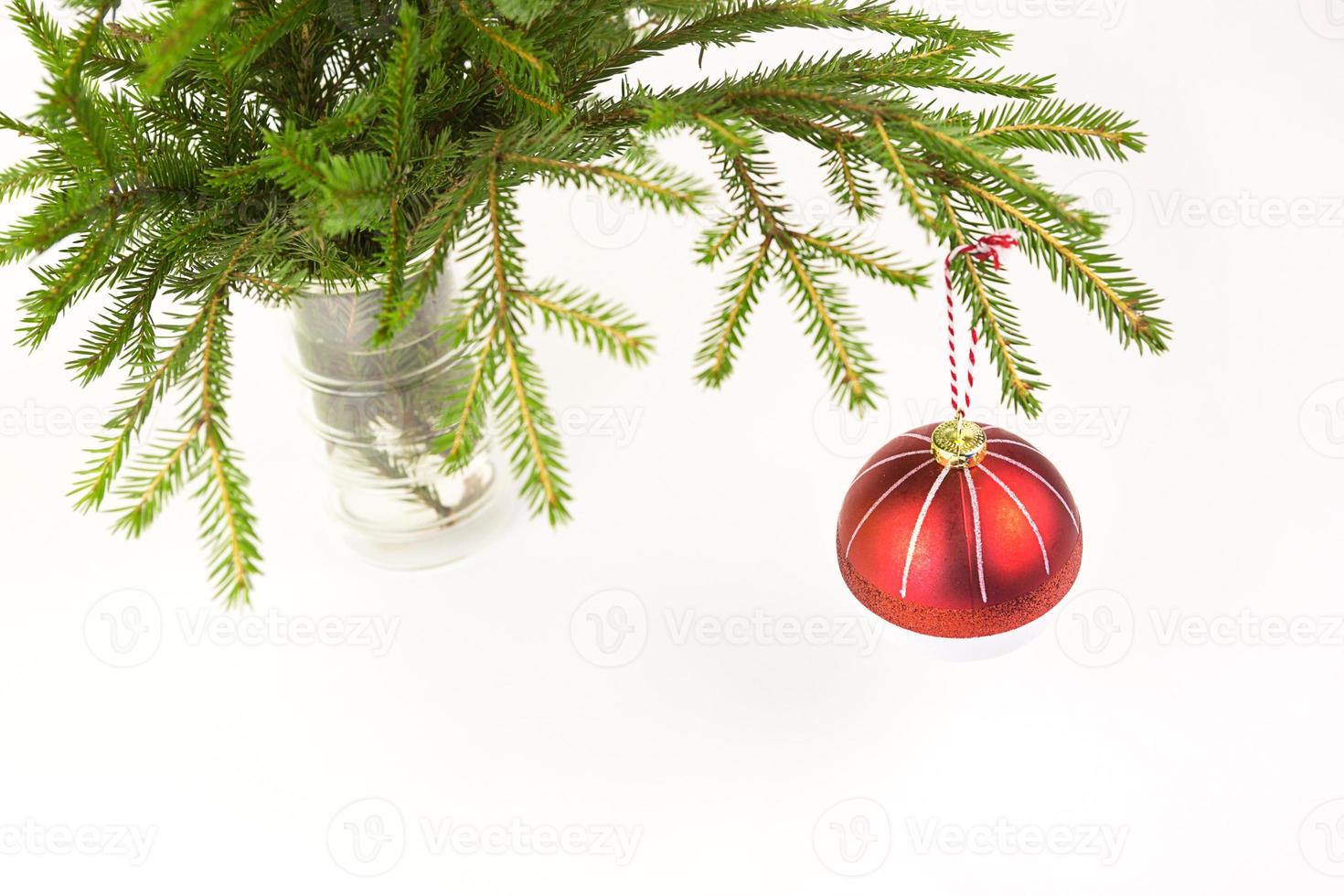 Red Christmas ball on a live spruce branch in a vase on a white background. New year, Christmas, copy space photo