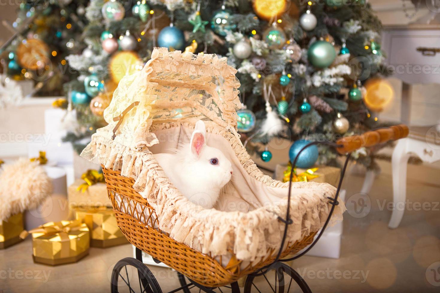 A white rabbit sits inside a retro baby stroller for dolls. Christmas vintage decor, Christmas tree with lights garlands. New Year. Pets at home photo