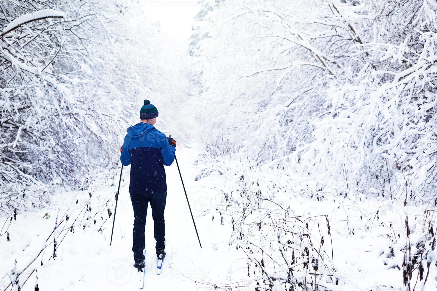 Skier in windbreaker and hat with pompom with ski poles in his hands with his back against the background of a snowy forest. Cross-country skiing in winter forest, outdoor sports, healthy lifestyle. photo