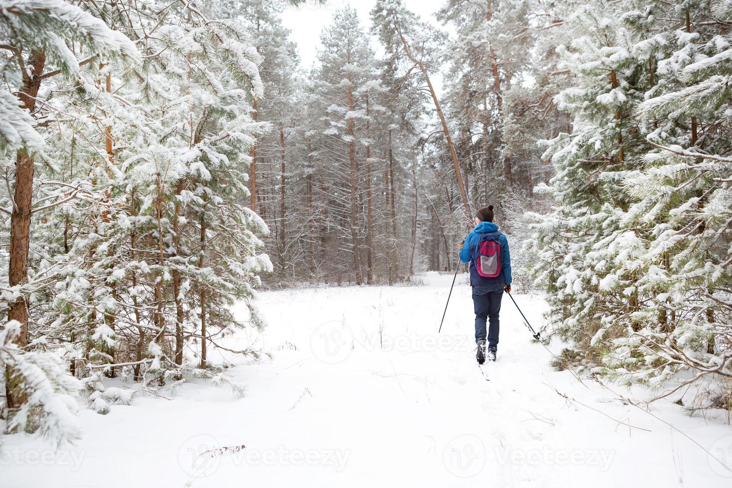 Skier with a backpack and hat with pompom with ski poles in his hands on background of a snowy forest. Cross-country skiing in winter forest, outdoor sports, healthy lifestyle, winter sports tourism. photo