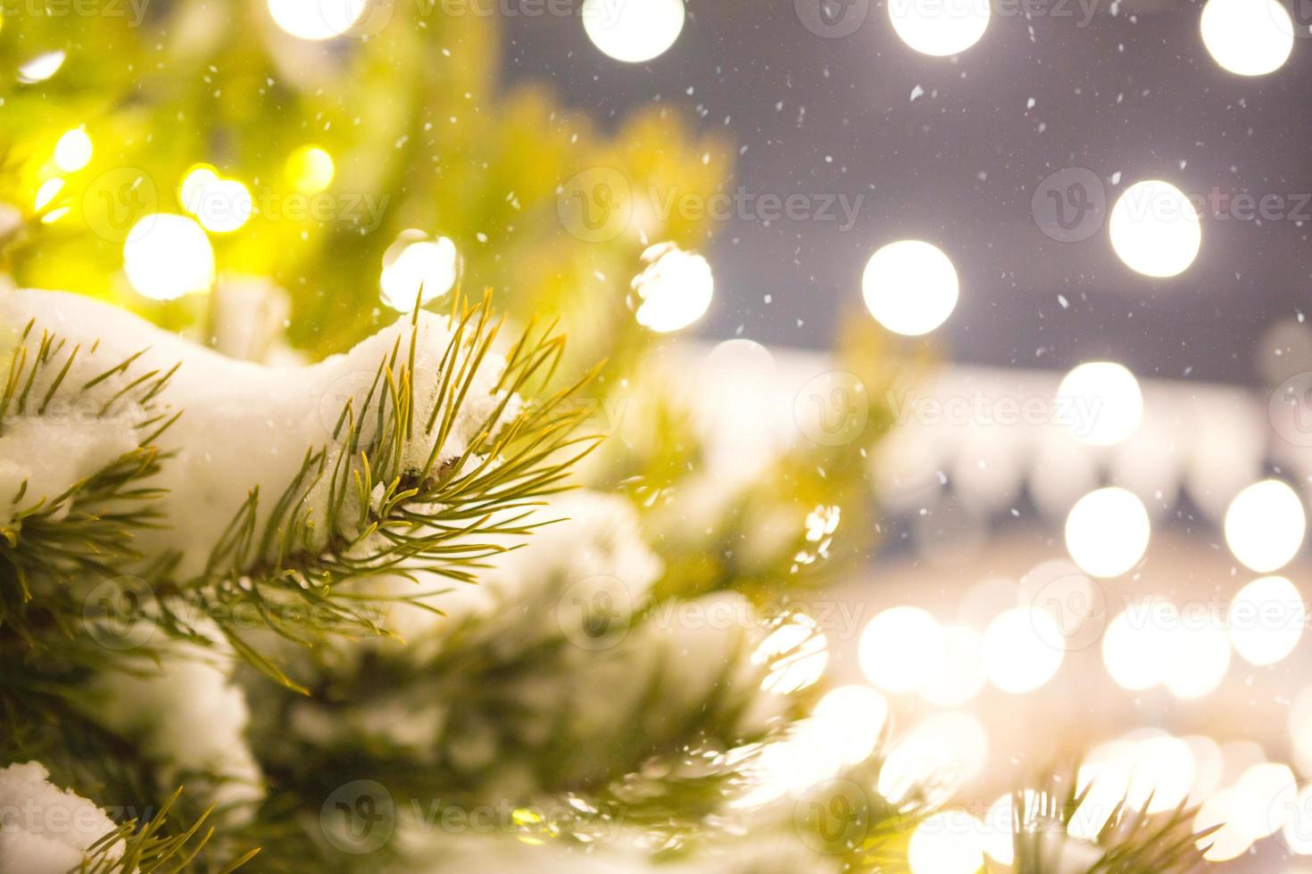 luces de hadas en el árbol de navidad al aire libre, decoración de la calle de la ciudad - abetos vivos en guirnaldas. navidad y año nuevo, feria, estado de ánimo. foto