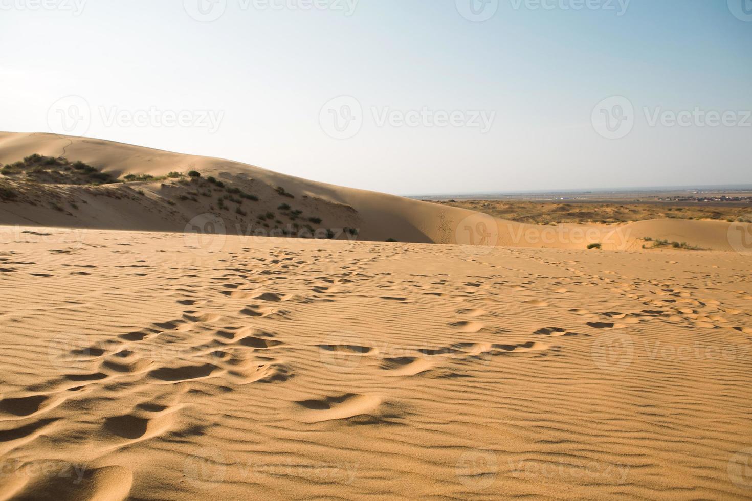 A trail of footprints in the sand in the desert. Sarykum dune in Dagestan. Travel, natural sightseeing tour photo