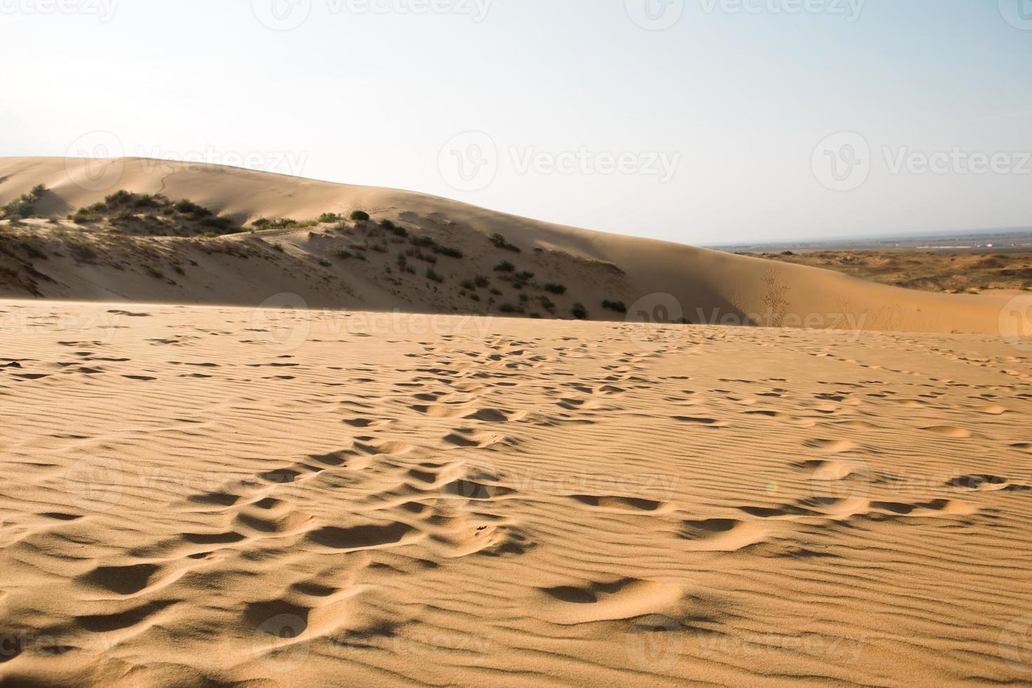 A trail of footprints in the sand in the desert. Sarykum dune in Dagestan. Travel, natural sightseeing tour photo