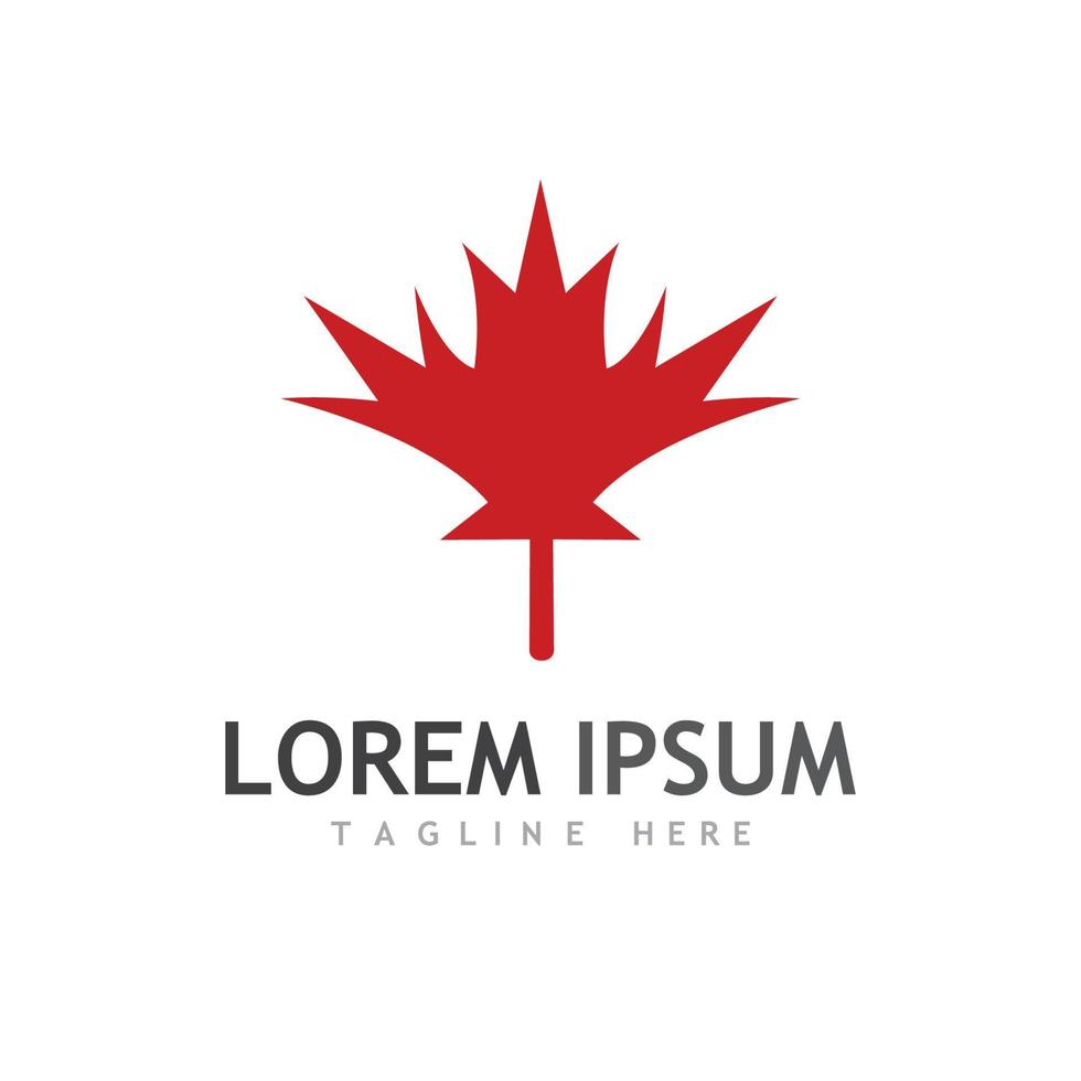 Maple leaf vector illustration design template