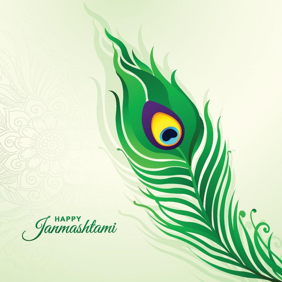 ilustración de la pluma de pavo real para el diseño de la tarjeta shree krishna janmashtami vector