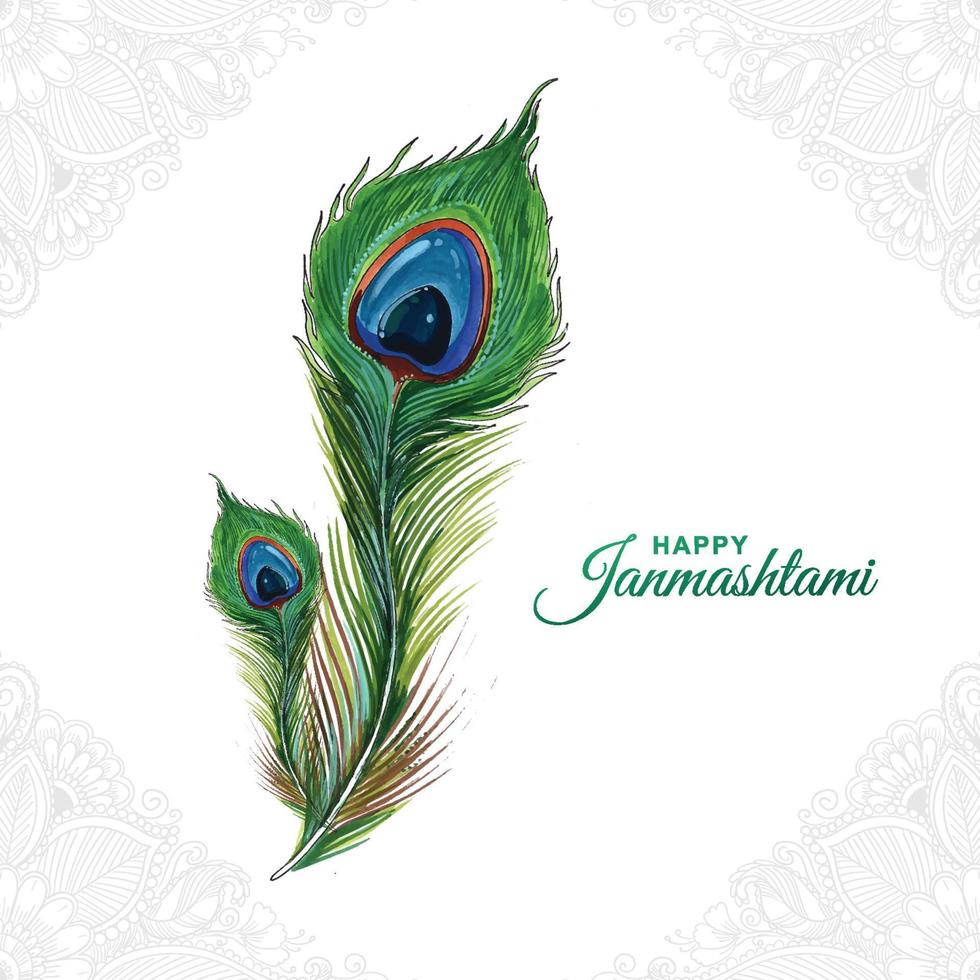 Realistic peacock feather watercolor on happy janmashtami card design vector