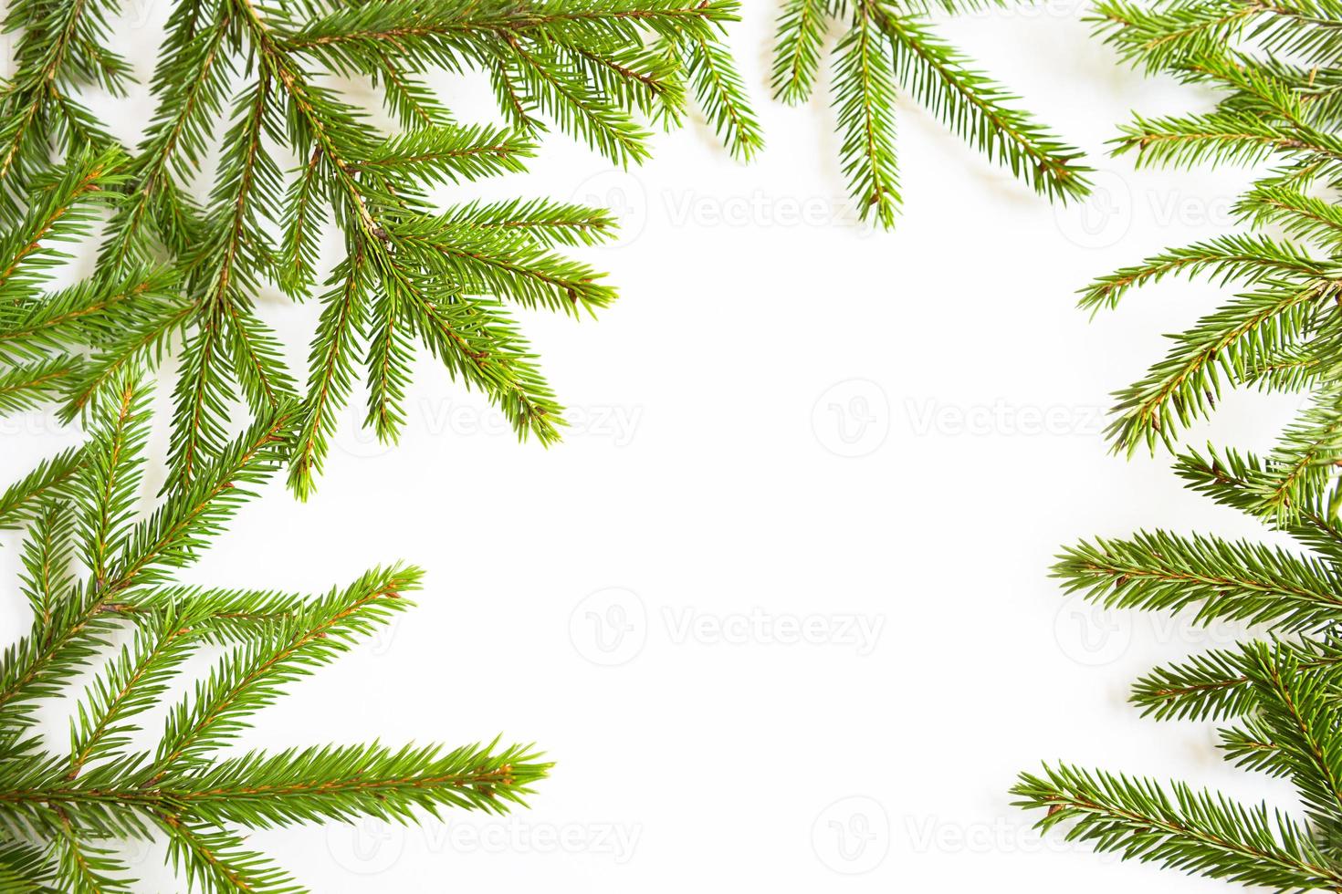 Natural frame of fresh green spruce branches on a white background. Christmas, new year, Christmas tree. Copy space photo