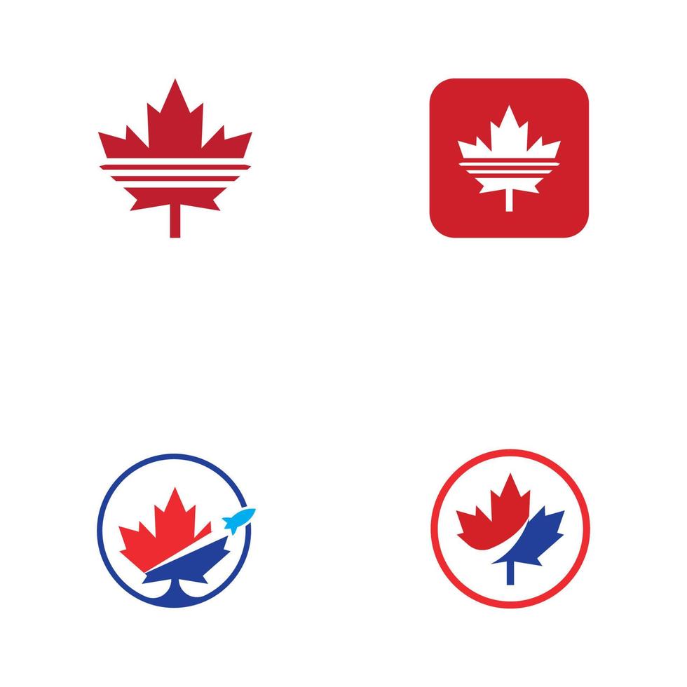 Maple leaf vector illustration design template