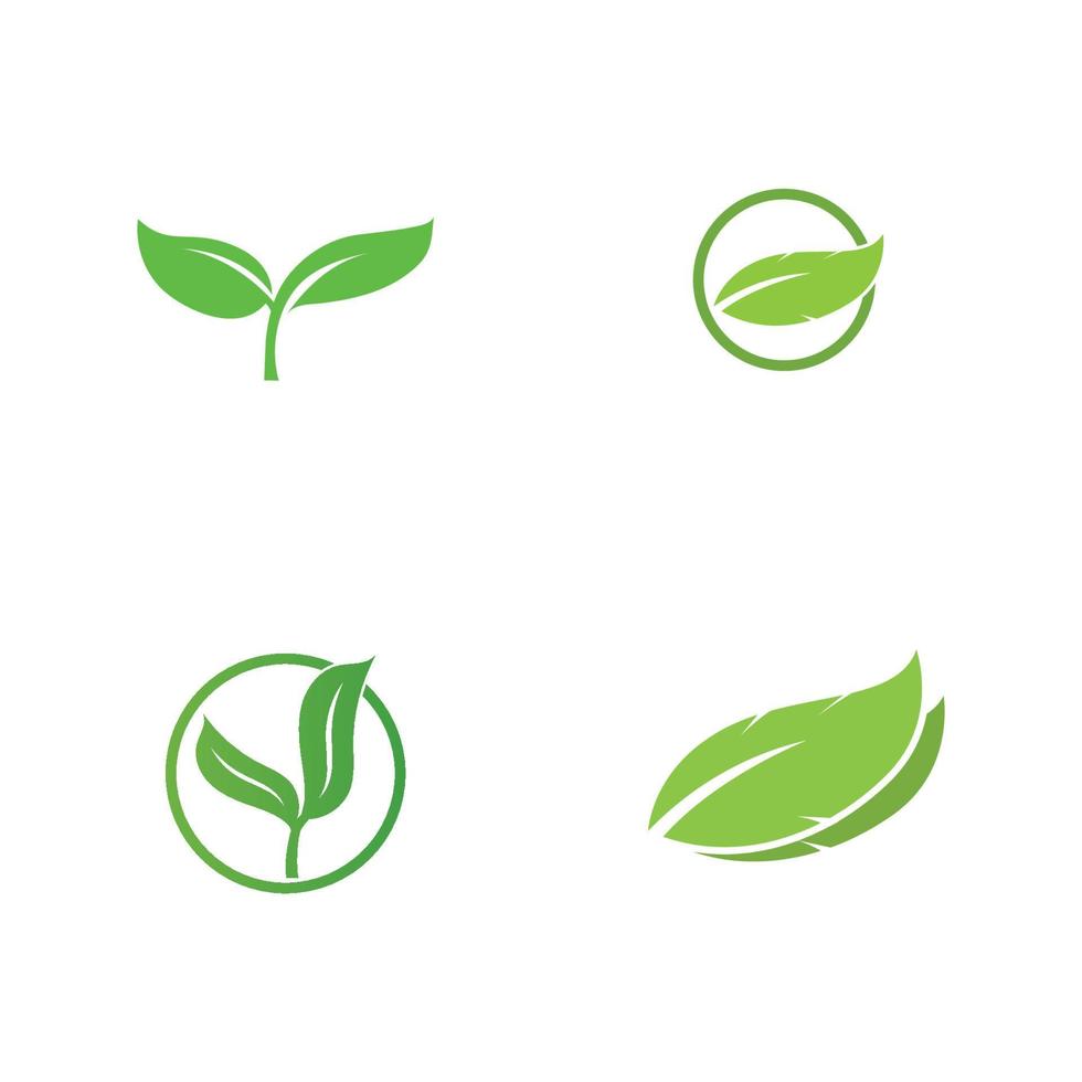 Green leaves logo.green leaf icons set vector template