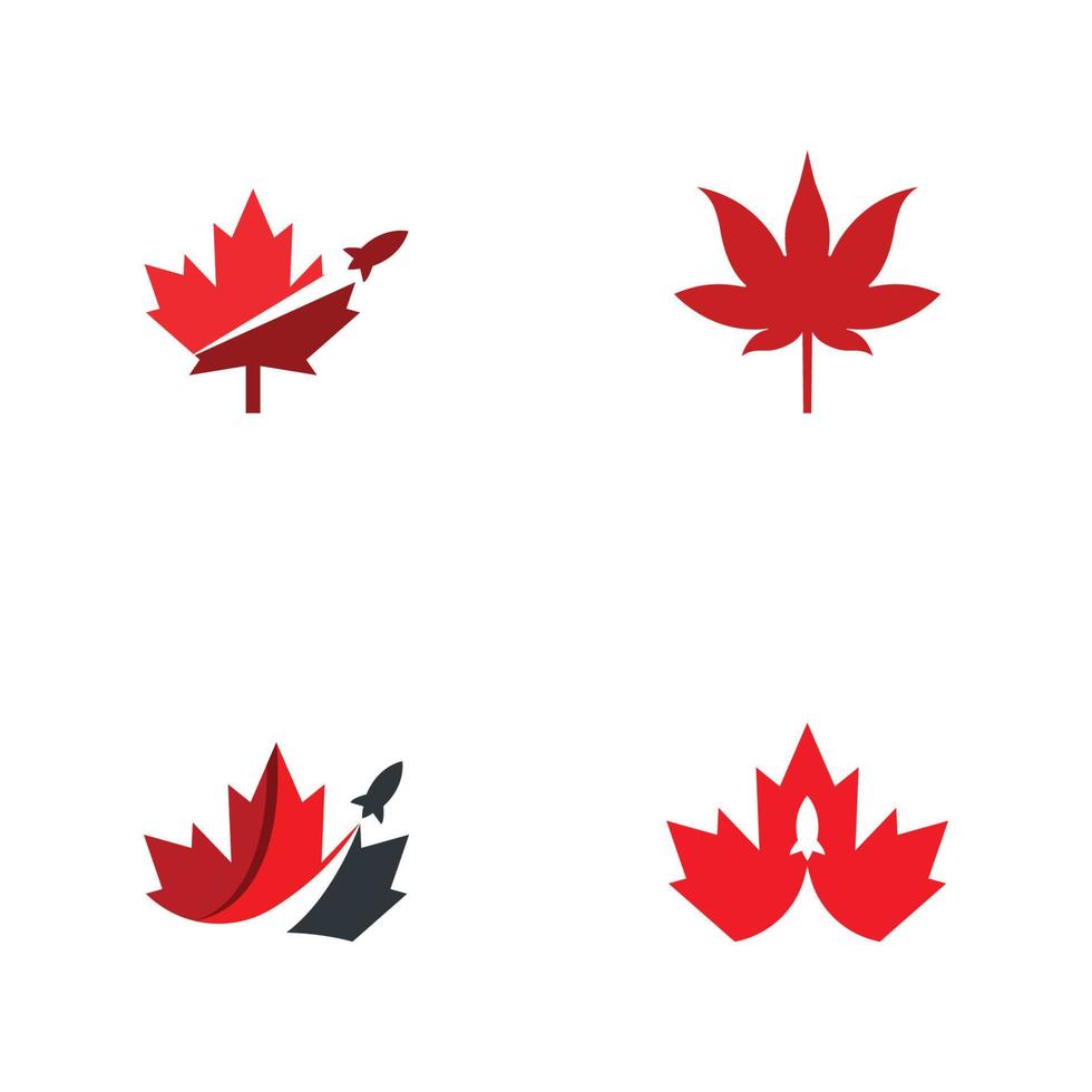 Maple leaf vector illustration design template